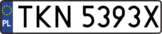 TKN5393X