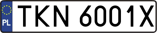 TKN6001X