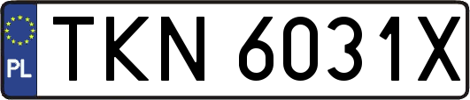 TKN6031X