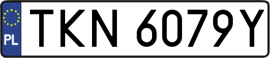 TKN6079Y