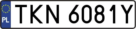 TKN6081Y