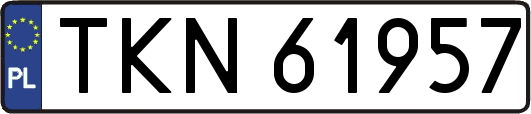 TKN61957