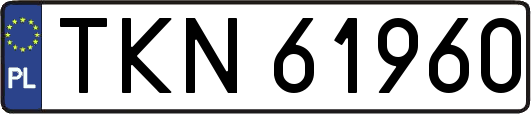 TKN61960