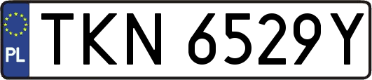 TKN6529Y