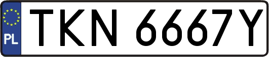 TKN6667Y