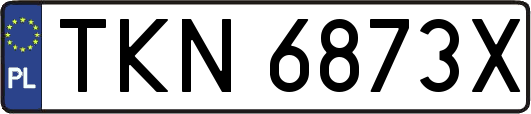 TKN6873X