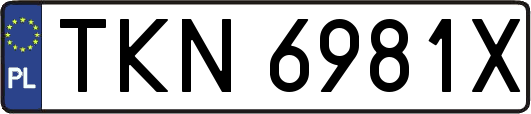 TKN6981X