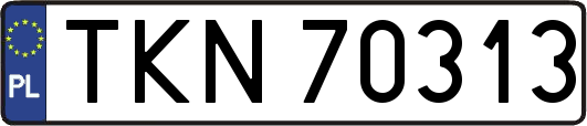 TKN70313