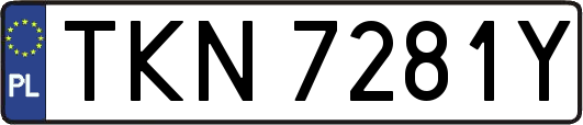 TKN7281Y