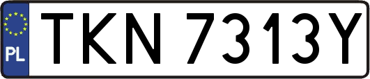 TKN7313Y