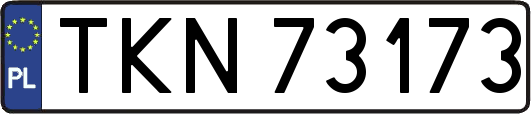 TKN73173