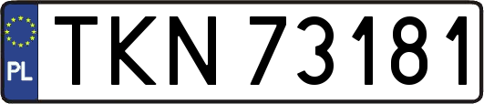 TKN73181