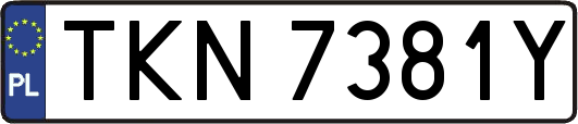 TKN7381Y