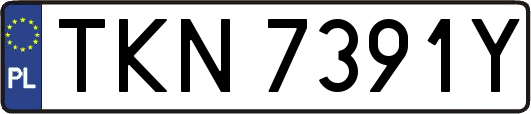 TKN7391Y