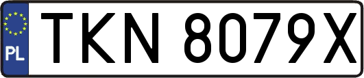 TKN8079X