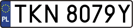 TKN8079Y