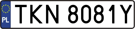 TKN8081Y