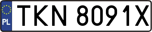 TKN8091X