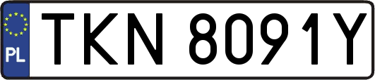 TKN8091Y