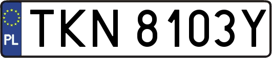TKN8103Y