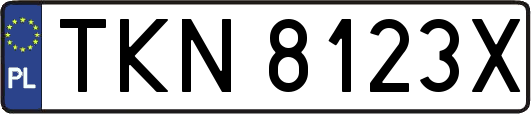 TKN8123X