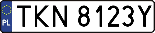 TKN8123Y
