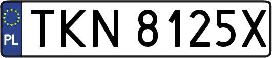 TKN8125X