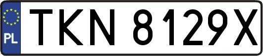 TKN8129X