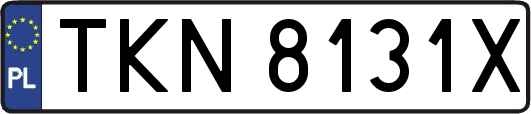 TKN8131X