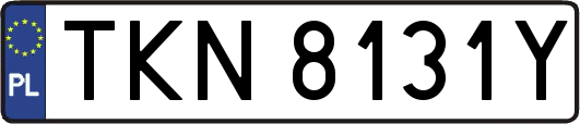 TKN8131Y