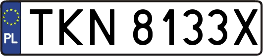 TKN8133X