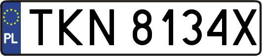 TKN8134X
