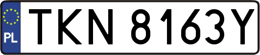 TKN8163Y