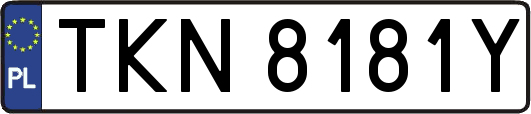 TKN8181Y
