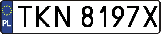TKN8197X