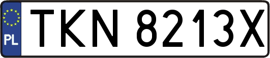TKN8213X