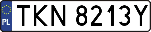 TKN8213Y
