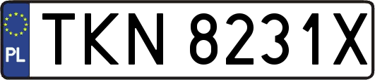 TKN8231X