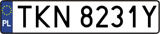 TKN8231Y