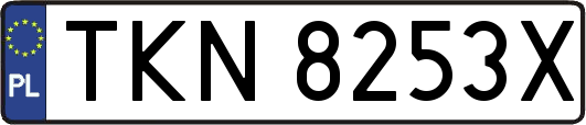 TKN8253X