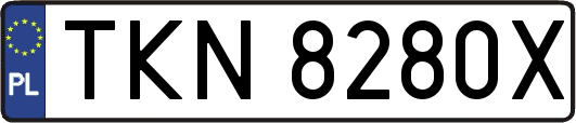 TKN8280X
