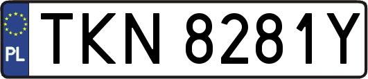 TKN8281Y