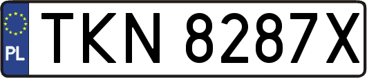 TKN8287X