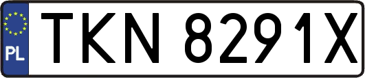 TKN8291X