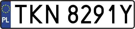TKN8291Y
