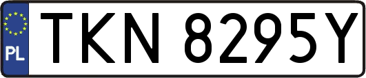 TKN8295Y
