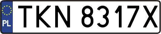 TKN8317X