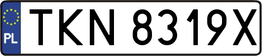 TKN8319X