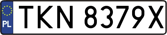 TKN8379X