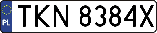 TKN8384X
